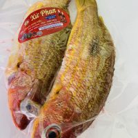 Cá Róc Hồng – 240/kg